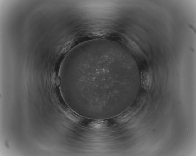 X0000097670563200802291503