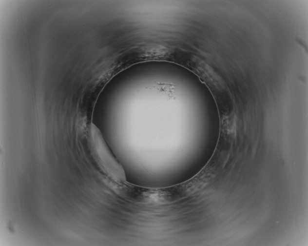 X0000097670564200802291503