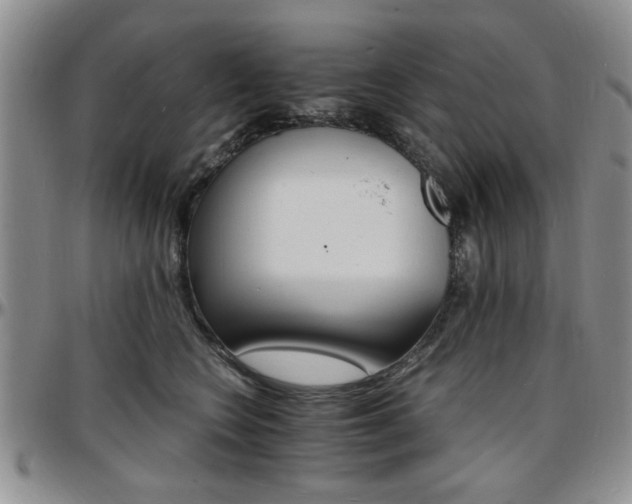 X0000097670566200802291503