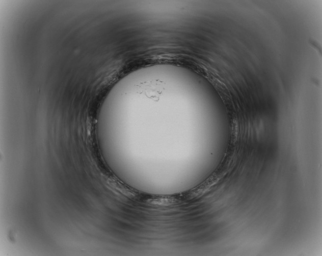 X0000097670567200802291503