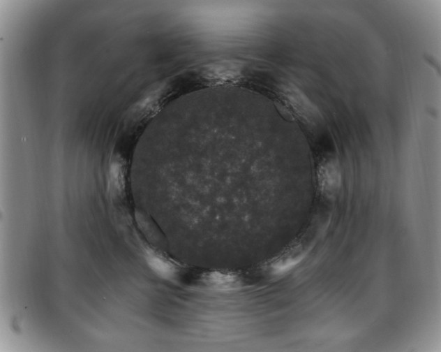X0000097670570200802291503