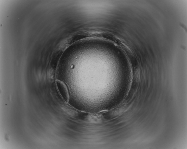 X0000097670571200802291503