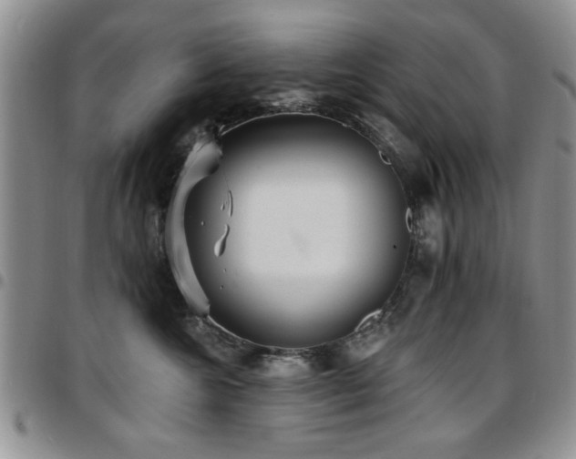 X0000097670572200802291503