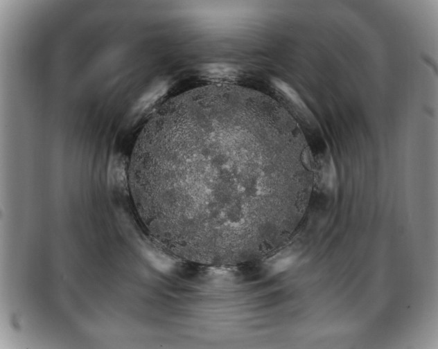 X0000097670573200802291503