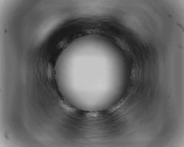 X0000097670574200802291503