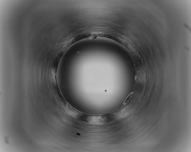 X0000097670575200802291503
