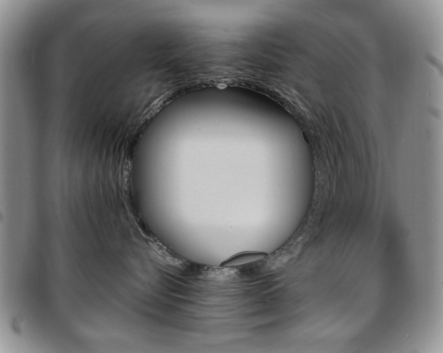 X0000097670576200802291503