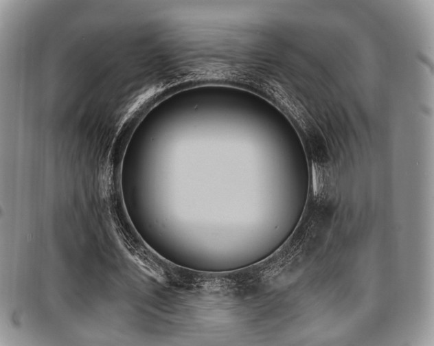 X0000097670579200802291502