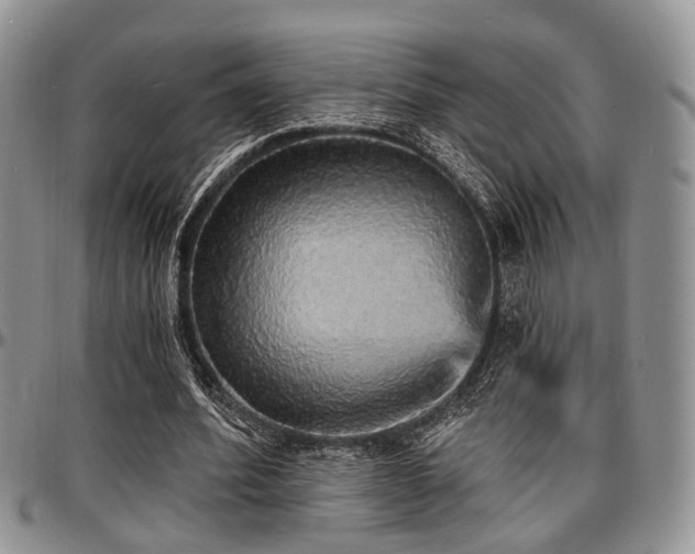 X0000097670580200802291502