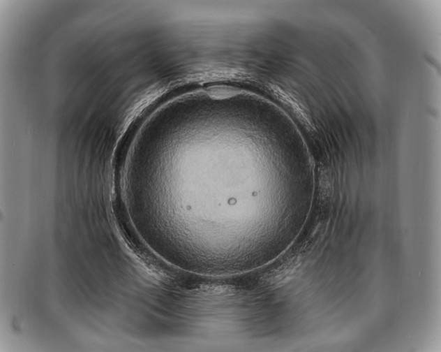 X0000097670582200802291502