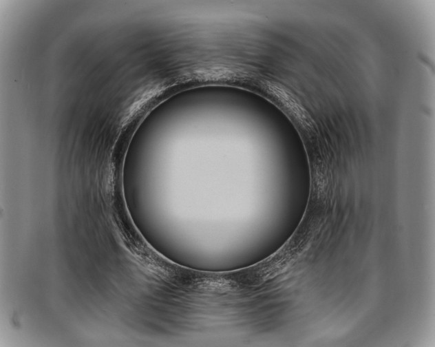 X0000097670583200802291502