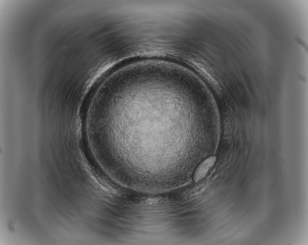 X0000097670584200802291502