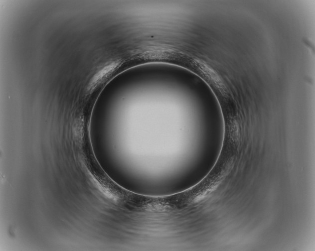 X0000097670586200802291502