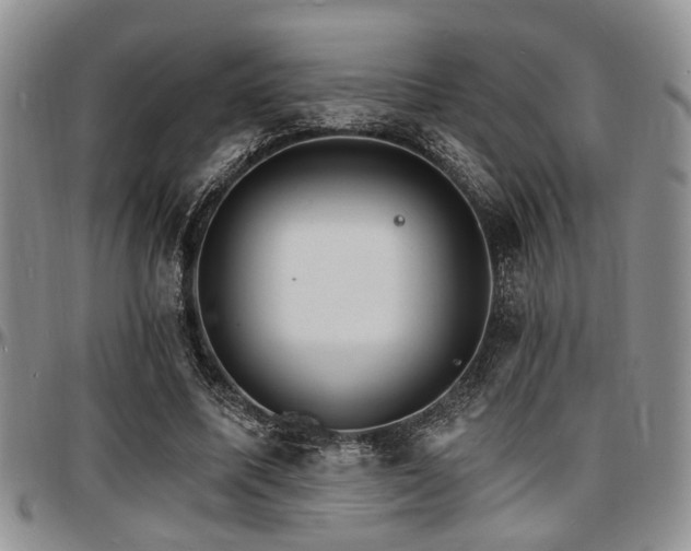 X0000097670587200802291502