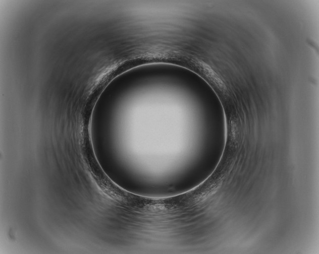 X0000097670588200802291502