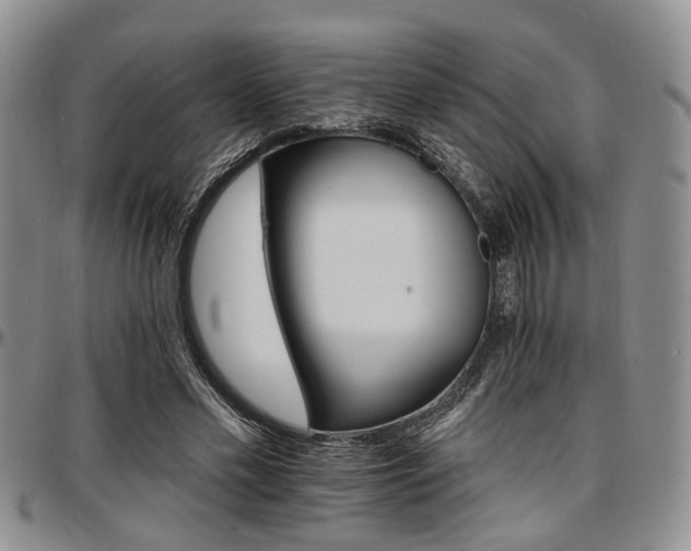 X0000097670589200802291502