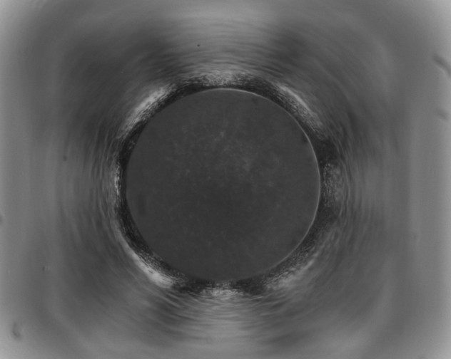 X0000097670590200802291502