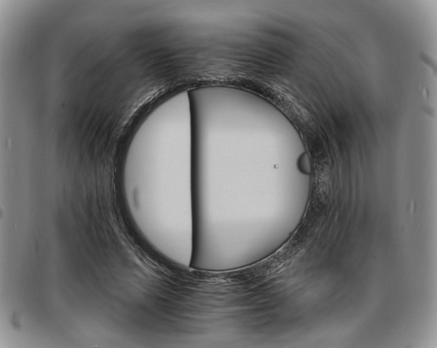 X0000097670591200802291502