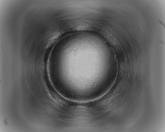 X0000097670592200802291502