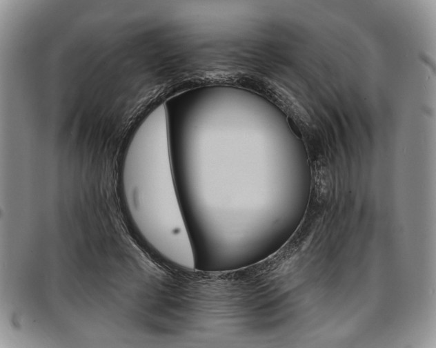 X0000097670593200802291502