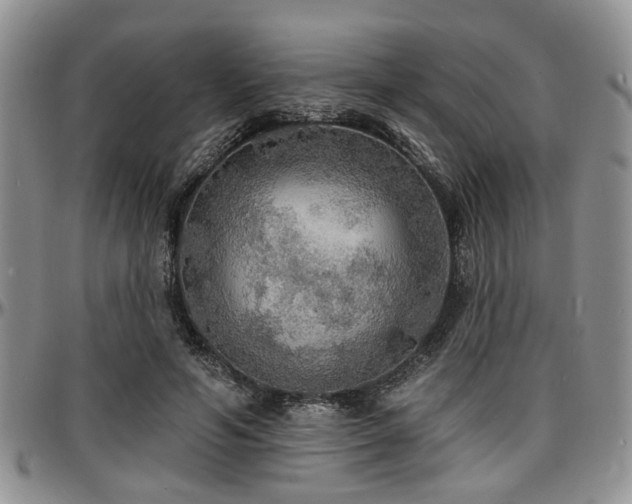 X0000097670594200802291502
