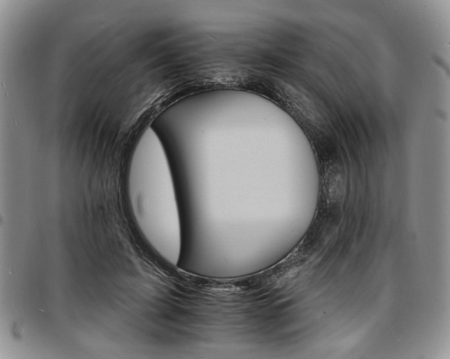 X0000097670595200802291502