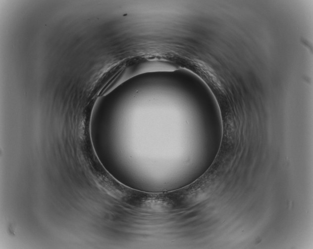 X0000097670596200802291502