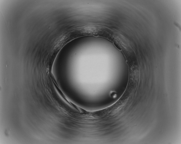 X0000097670597200802291502