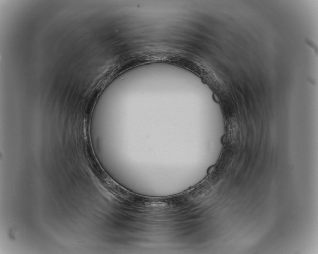 X0000097670598200802291502