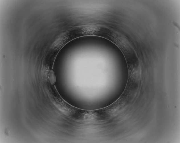 X0000097670599200802291502
