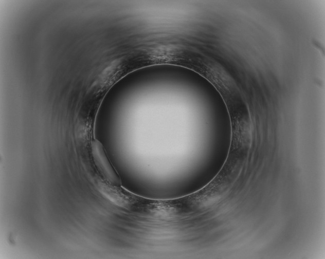 X0000097670601200802291502