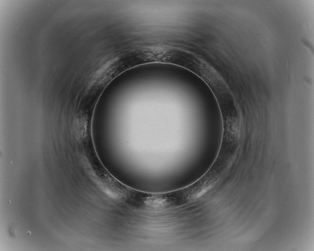 X0000097670602200802291502