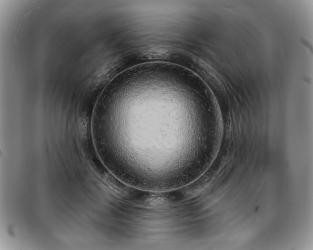 X0000097670604200802291502