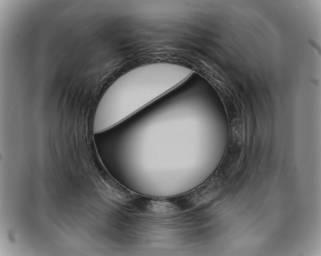 X0000097670605200802291502