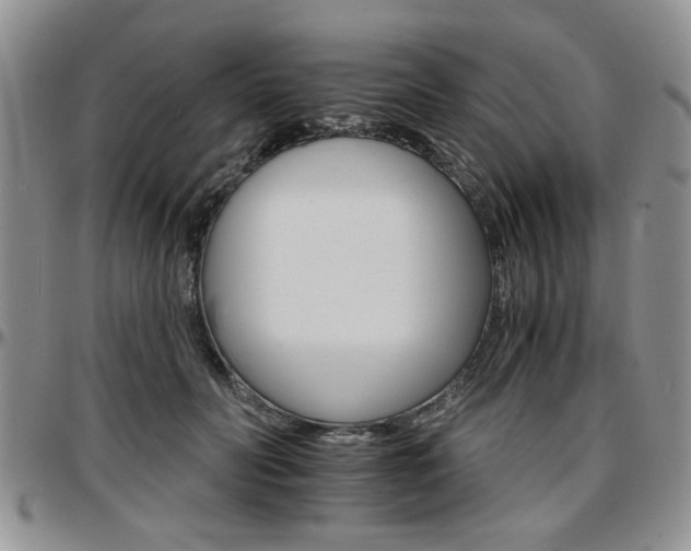 X0000097670606200802291502