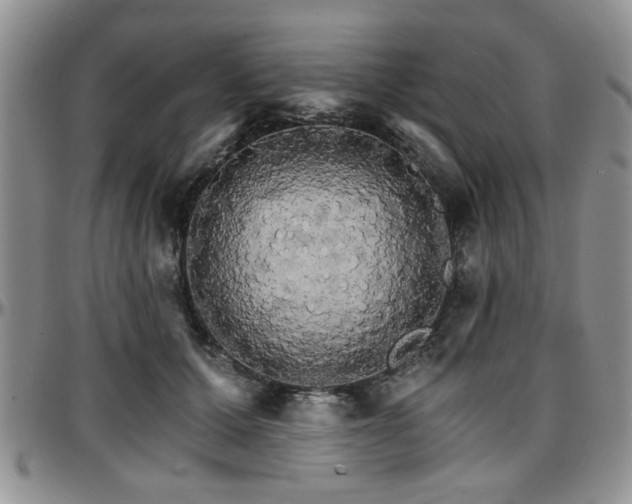 X0000097670607200802291502