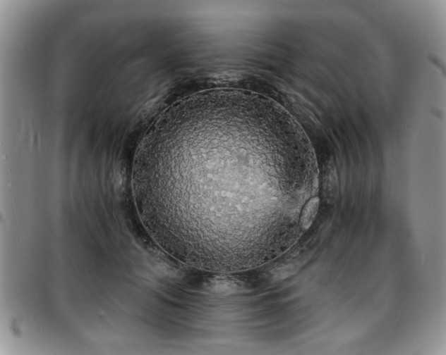 X0000097670608200802291502