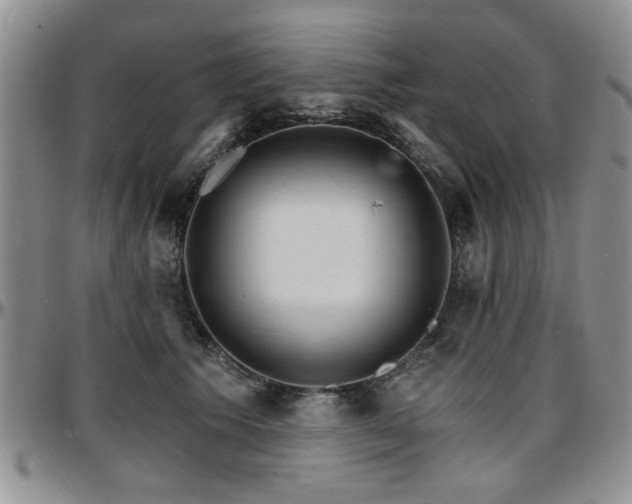 X0000097670609200802291502