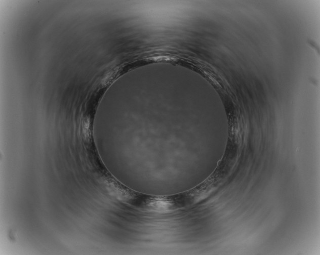 X0000097670610200802291502