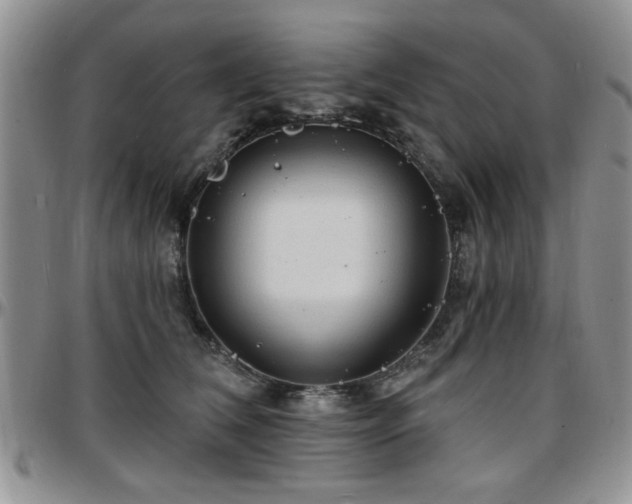 X0000097670612200802291502