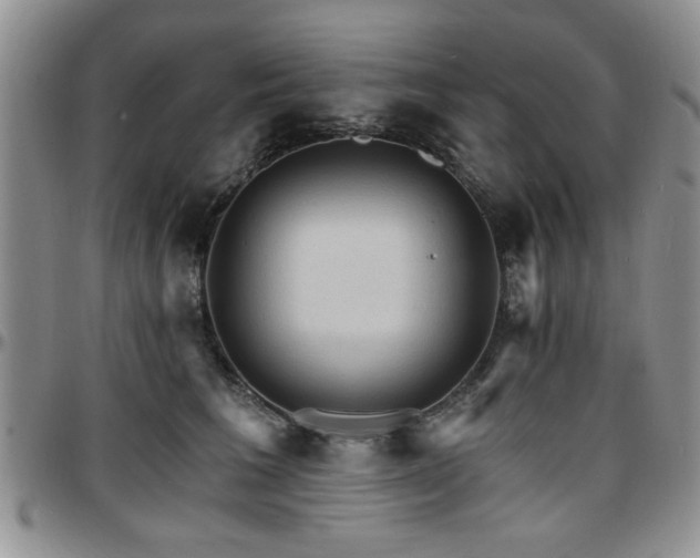 X0000097670613200802291502