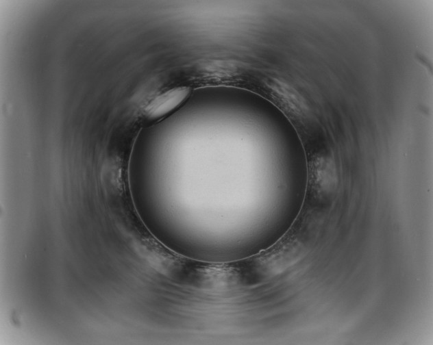 X0000097670615200802291502