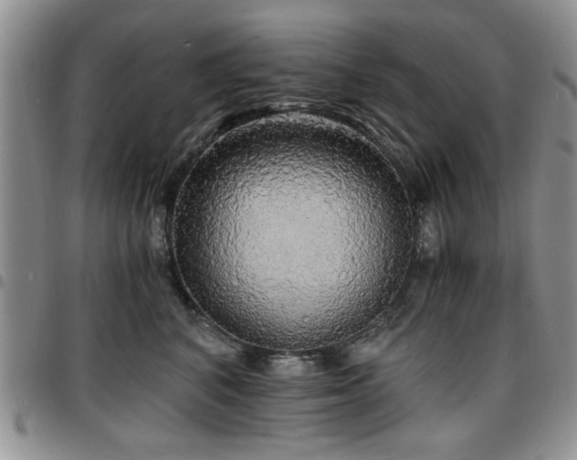 X0000097670616200802291502