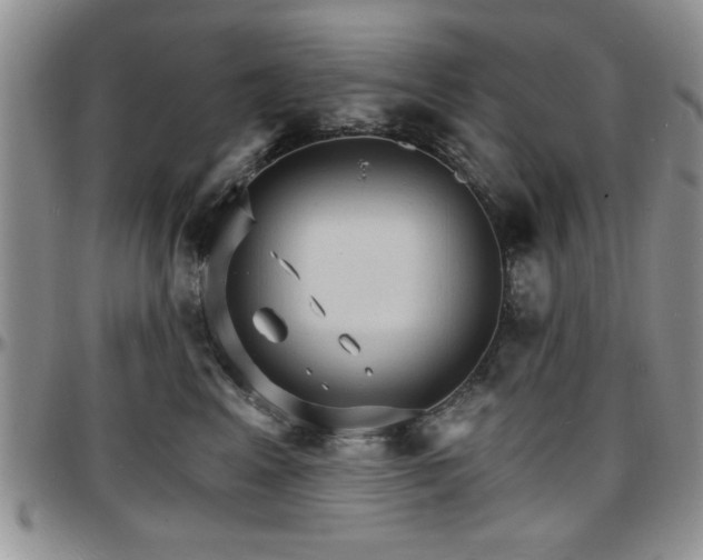 X0000097670617200802291502