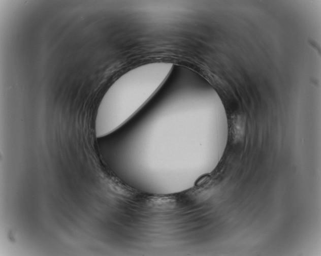 X0000097670619200802291502