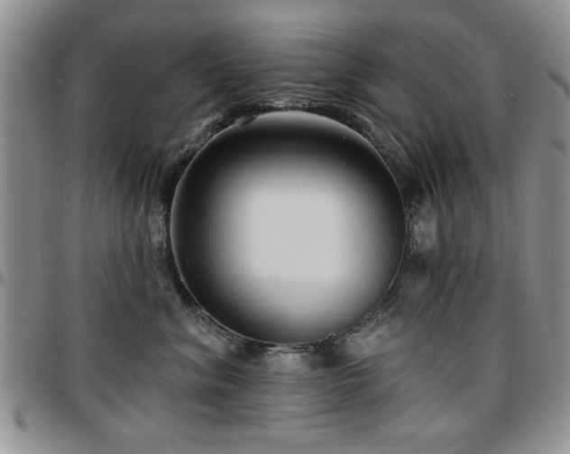 X0000097670620200802291502