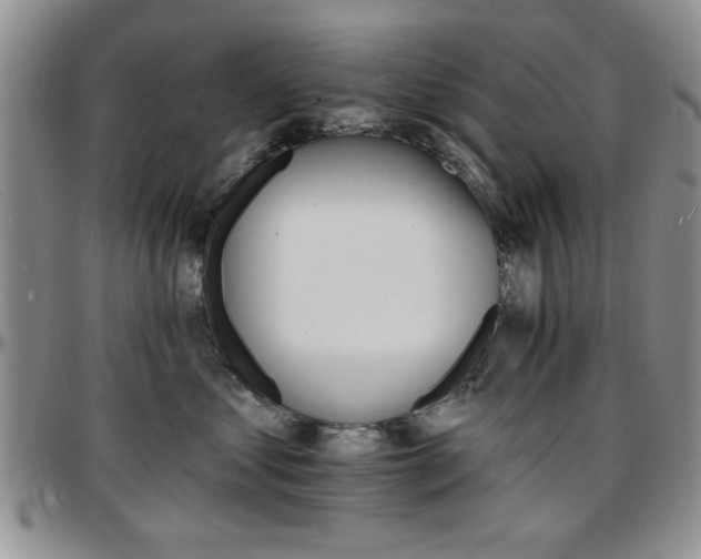 X0000097670621200802291502