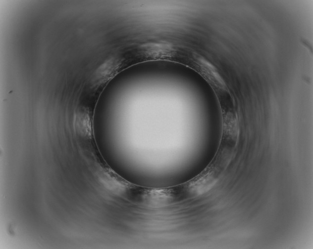 X0000097670622200802291502