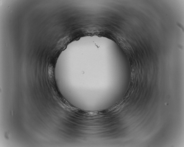 X0000097670623200802291502