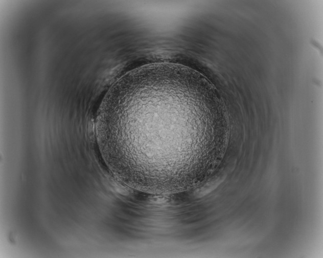 X0000097670624200802291502